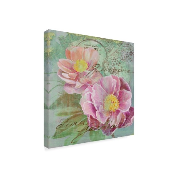 Art Licensing Studio 'Peony Garden I' Canvas Art,14x14